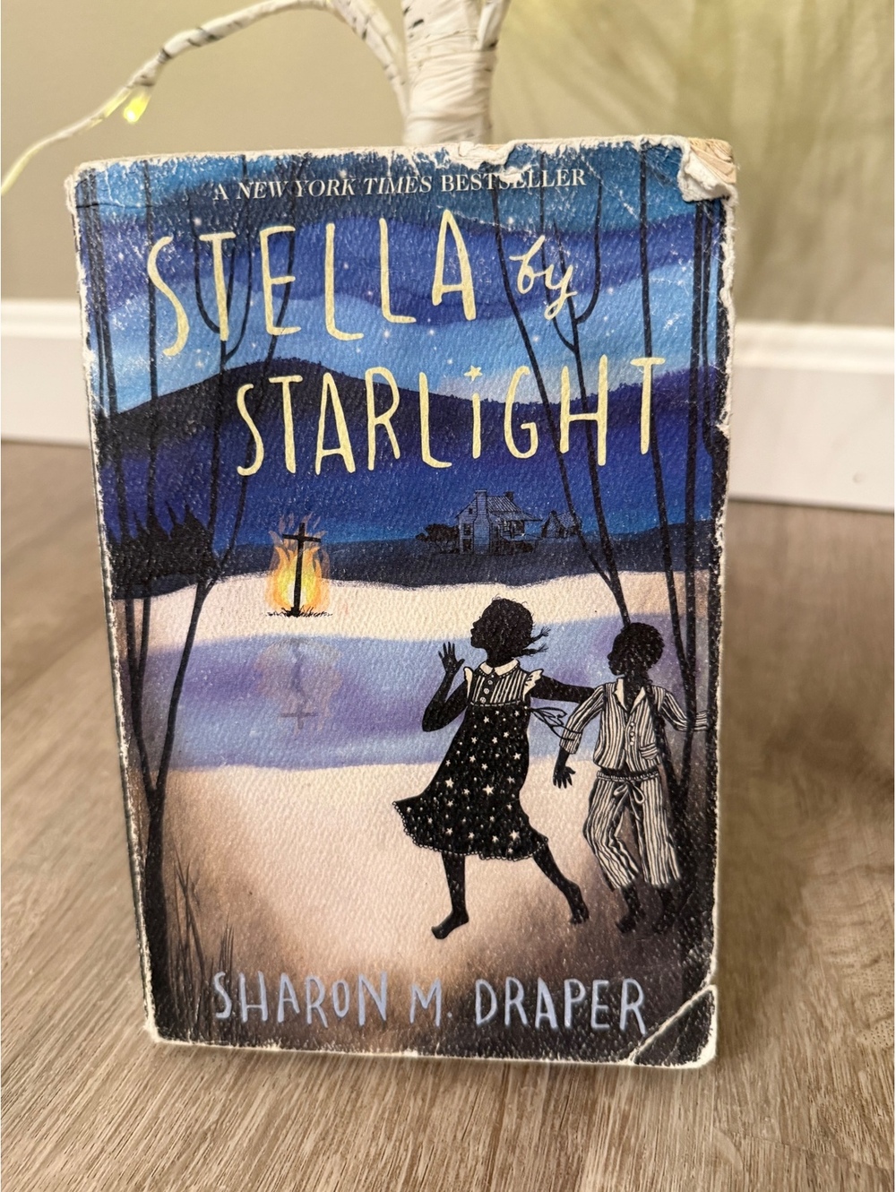 Stella by Starlight by Sharon M. Draper Paperback Book